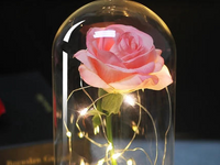 Valentines Day decoration