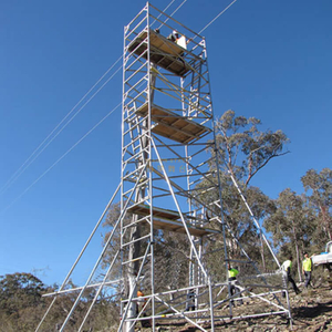 construction double scaffolding with climbing ladder.jpg