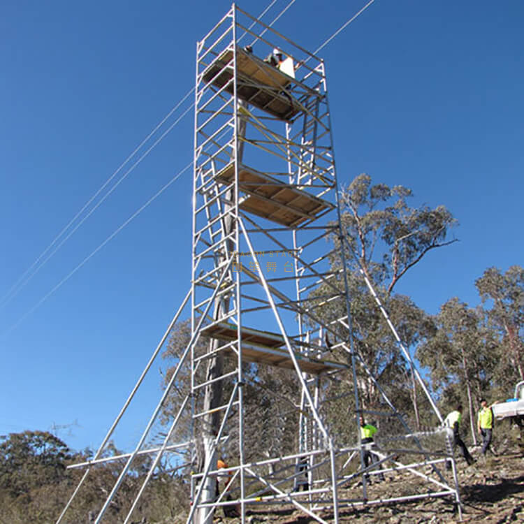 Portable Tower Double scaffolding with step ladder